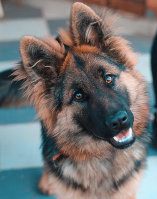 Útulok Pod Dubňom